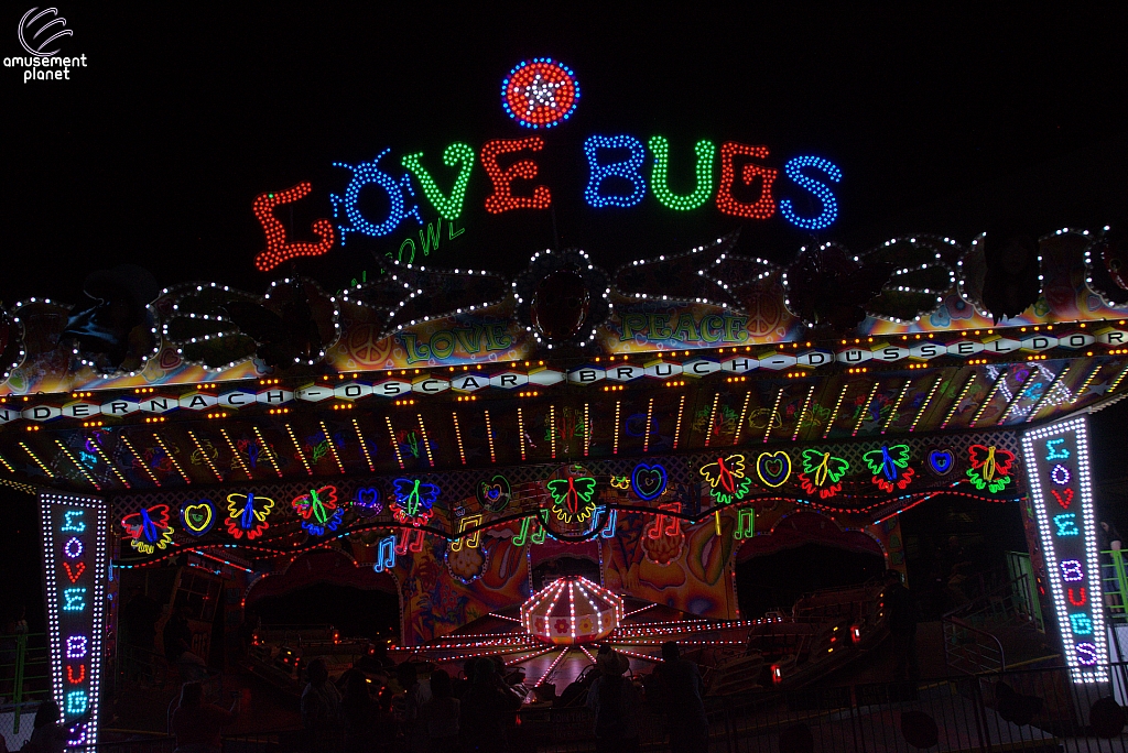 Love Bugs
