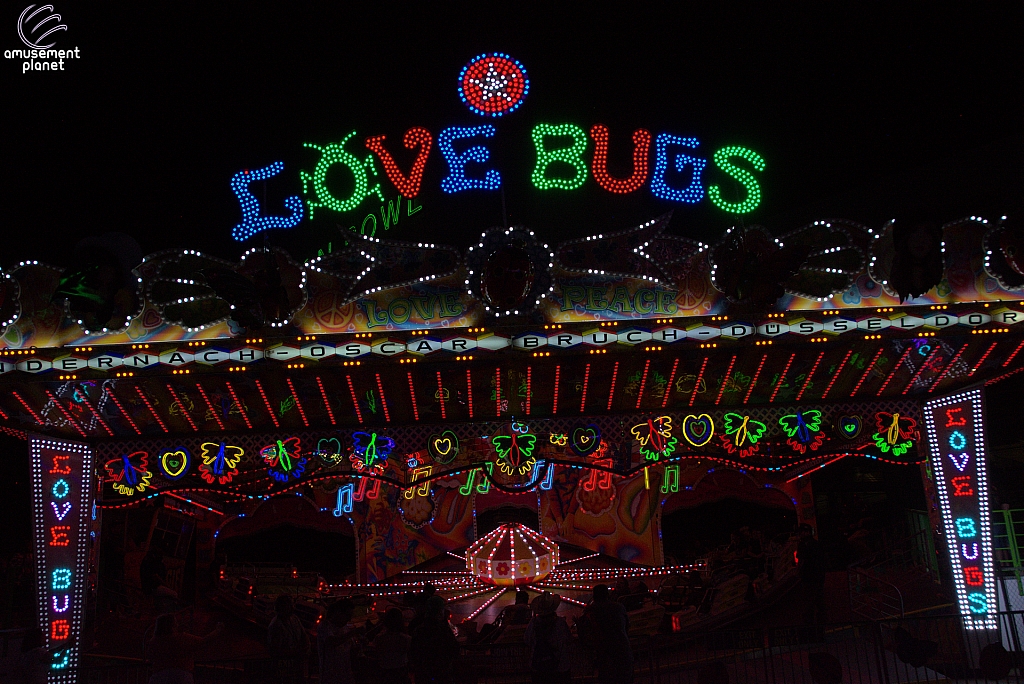 Love Bugs