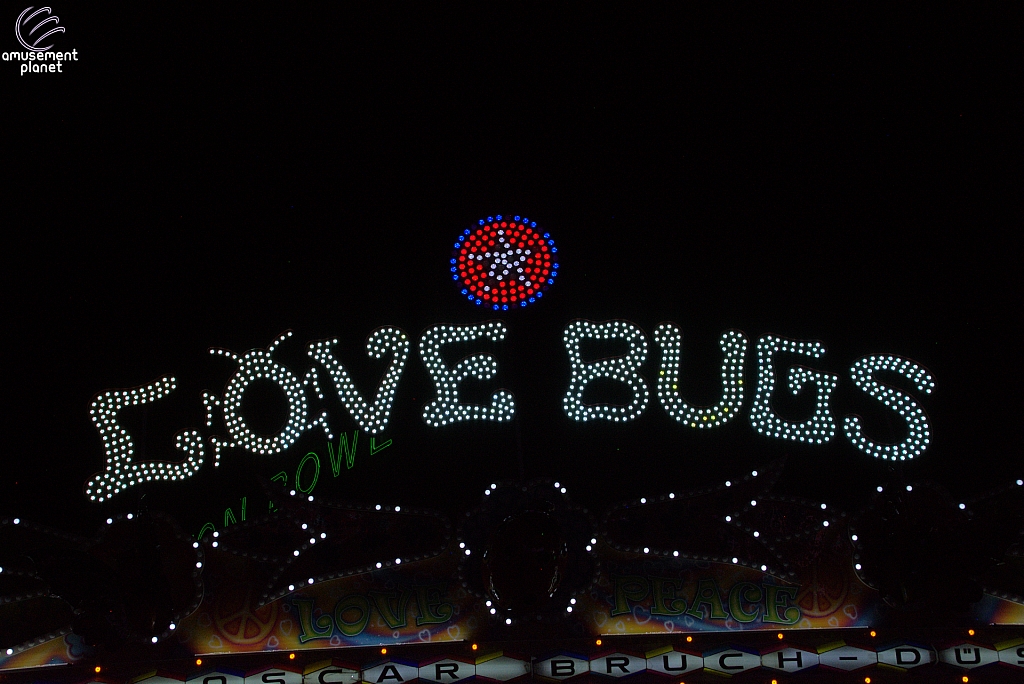 Love Bugs