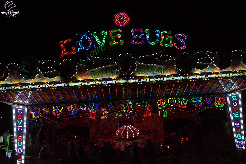 Love Bugs