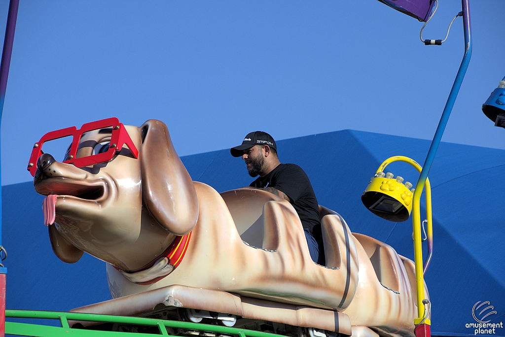 Puppy Express