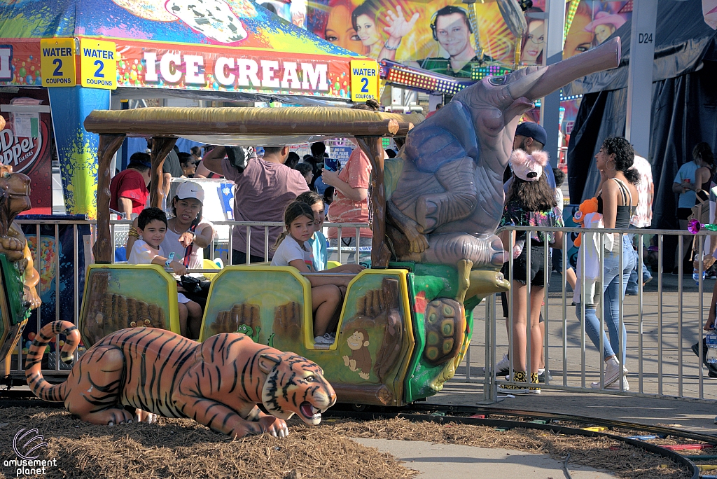 Safari Train