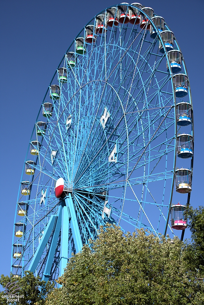 Texas Star