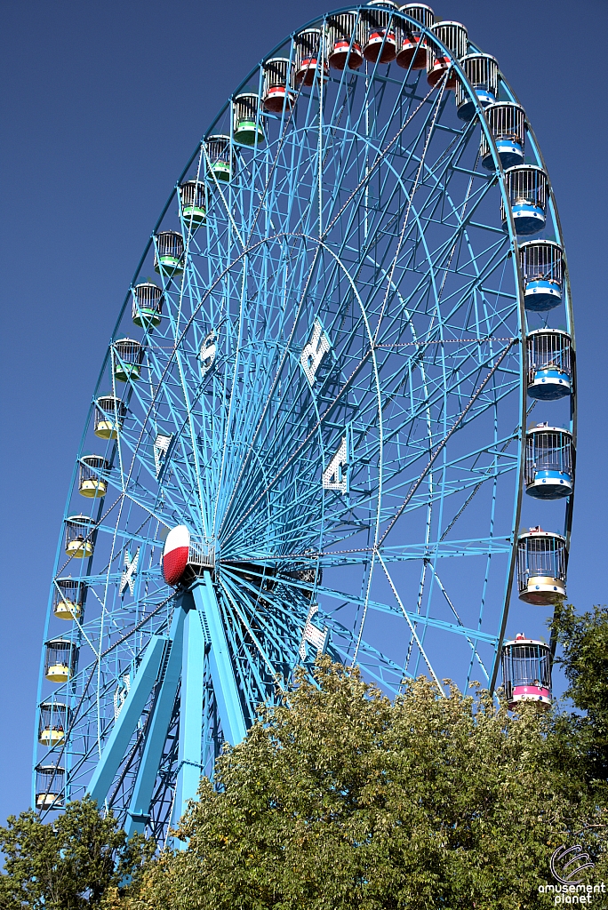 Texas Star