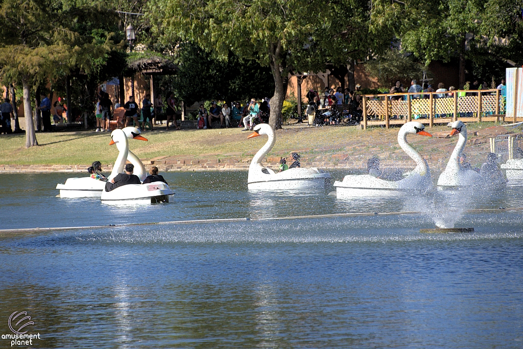 Swan Boats