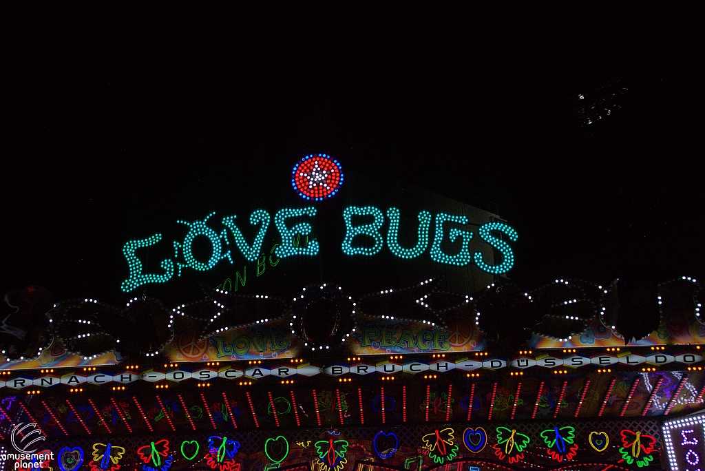 Love Bugs