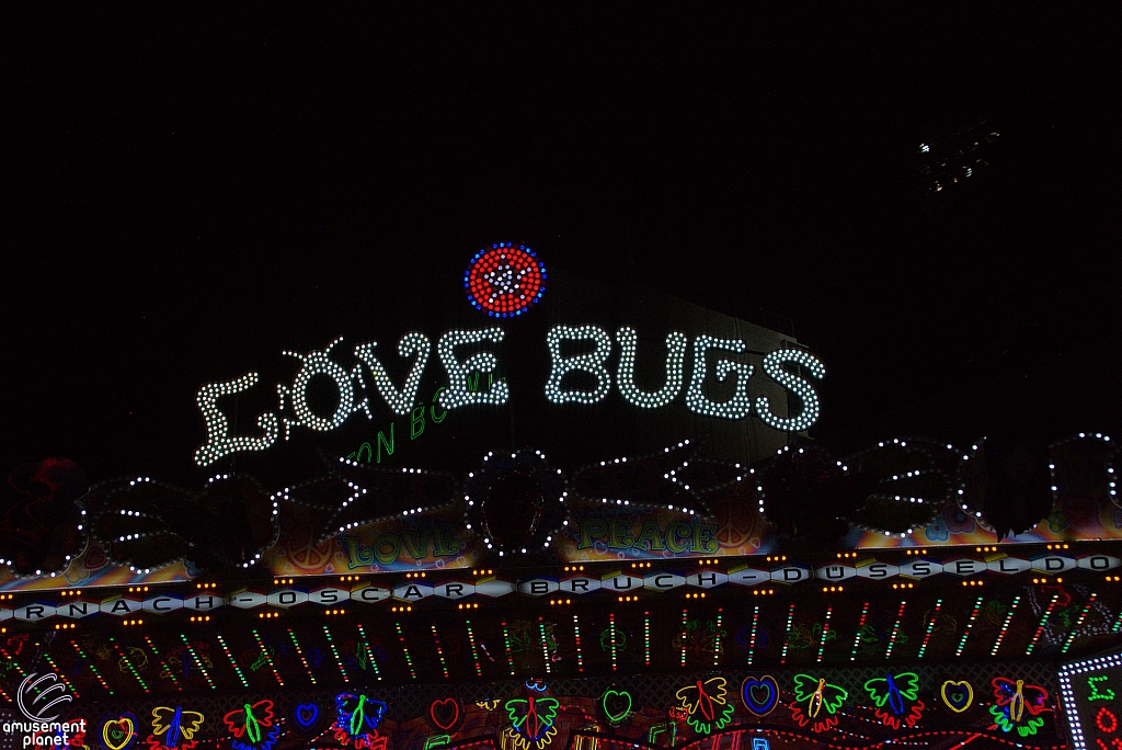 Love Bugs