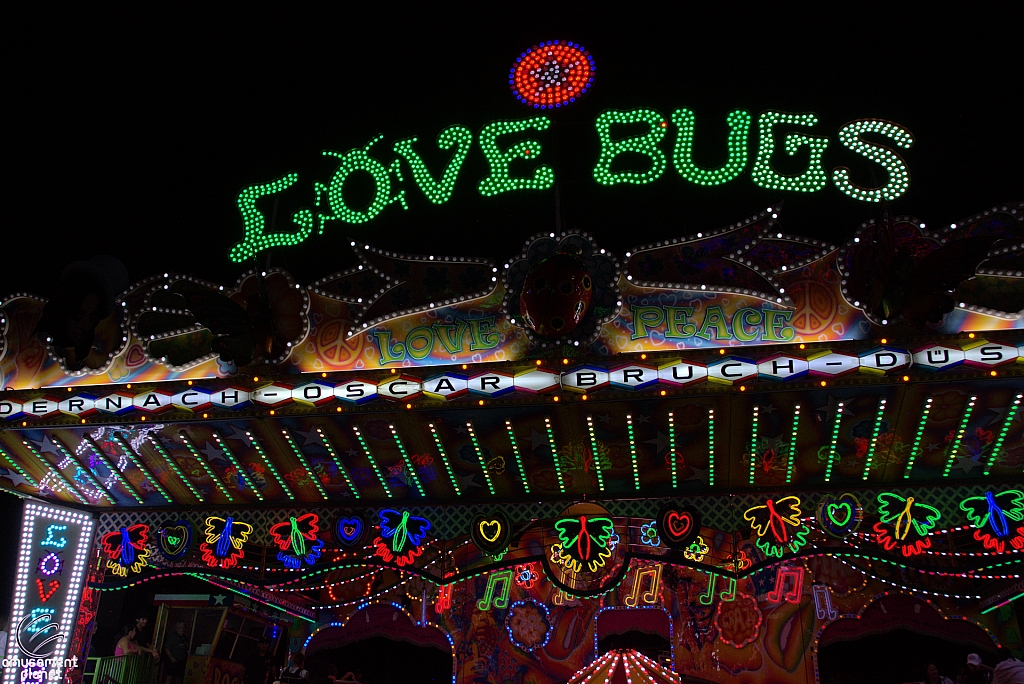 Love Bugs