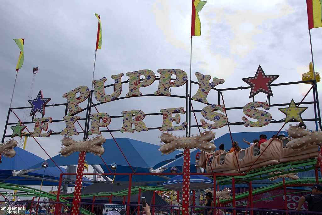 Puppy Express