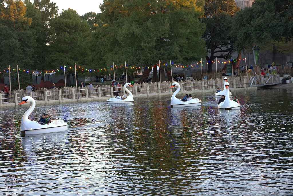 Swan Boats