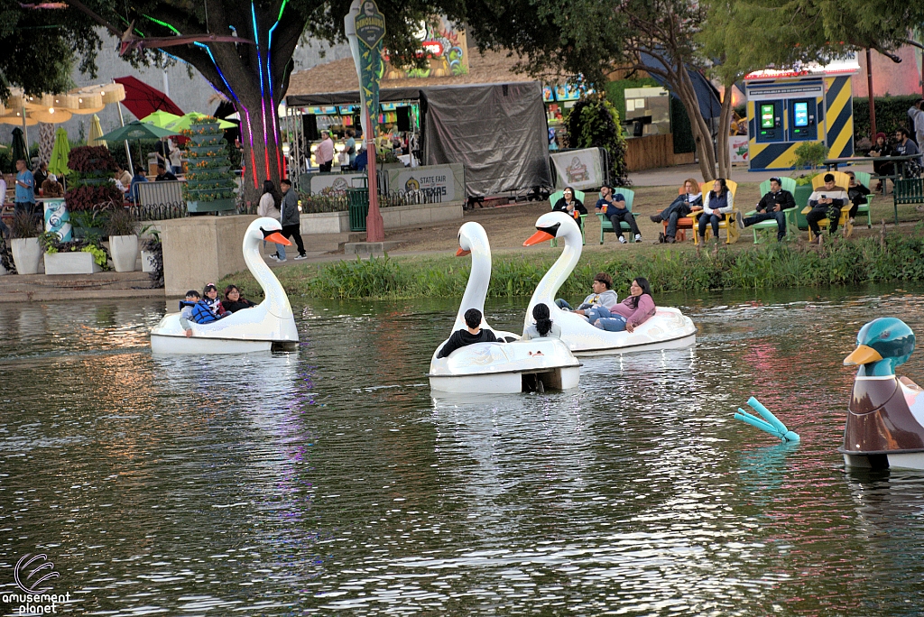 Swan Boats