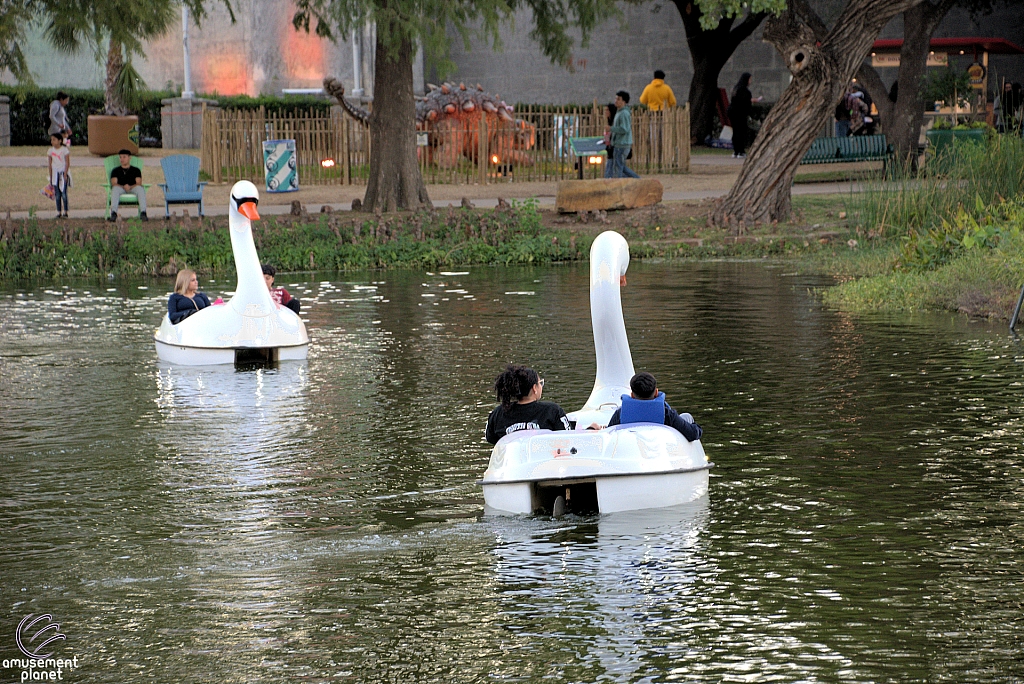 Swan Boats