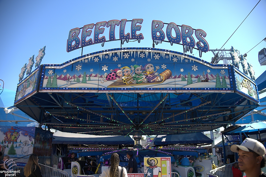 Beetle Bobs