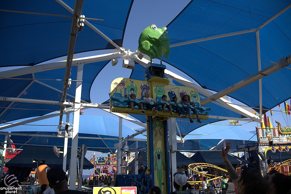 Frog Hopper