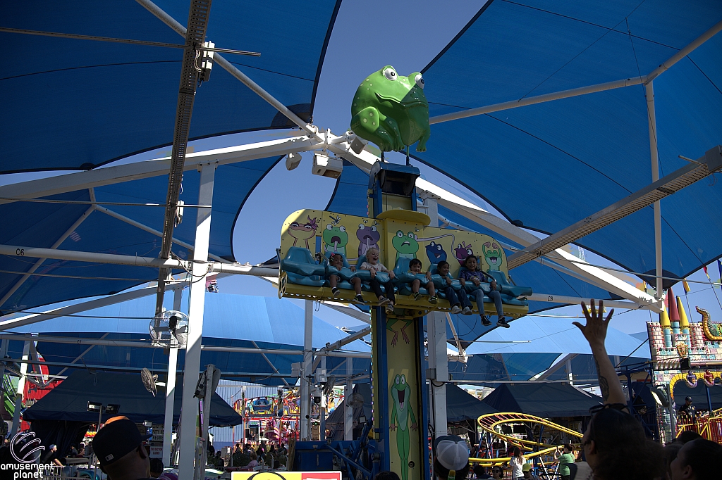 Frog Hopper