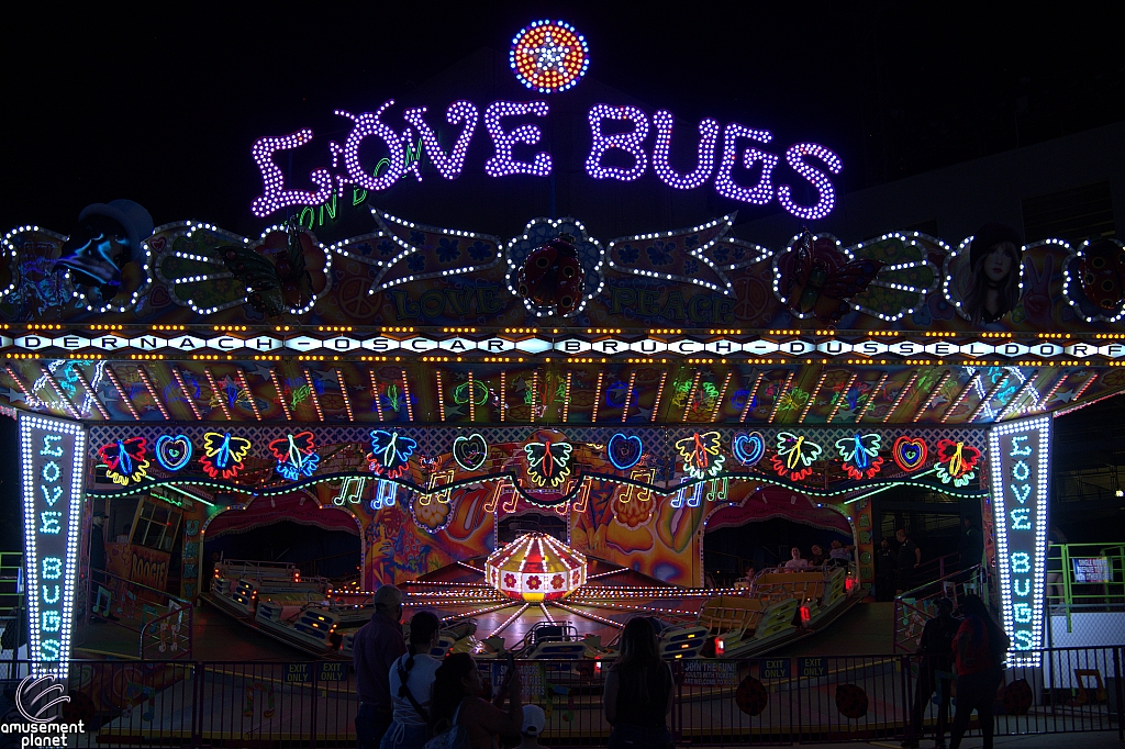 Love Bugs