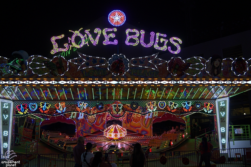Love Bugs