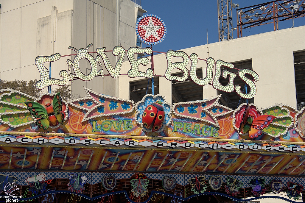 Love Bugs