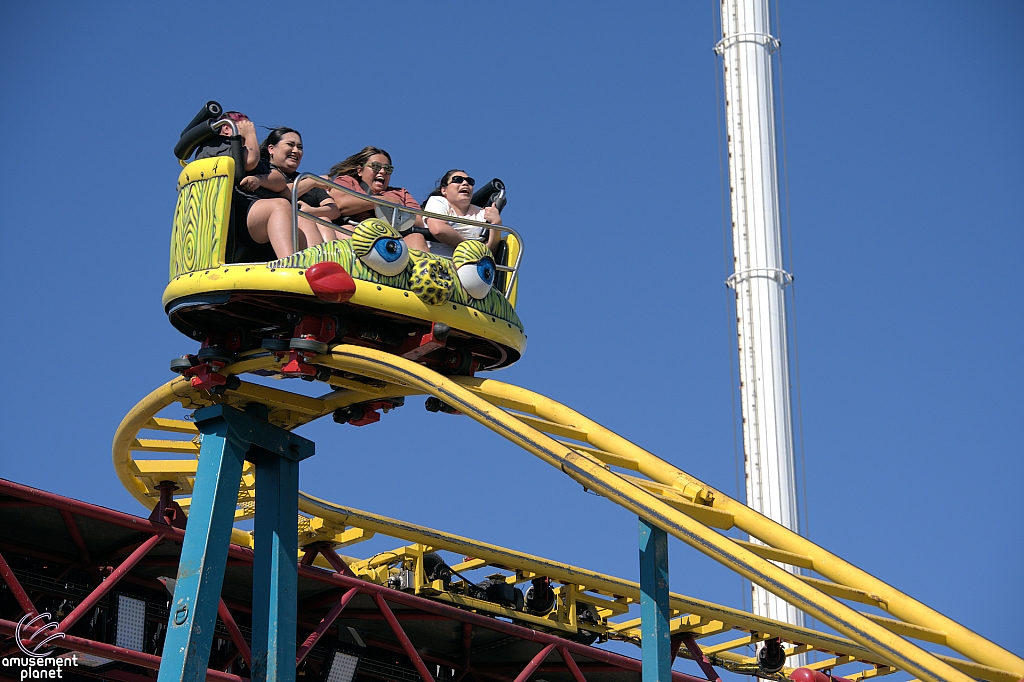 Crazy Mouse