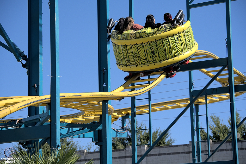 Crazy Mouse
