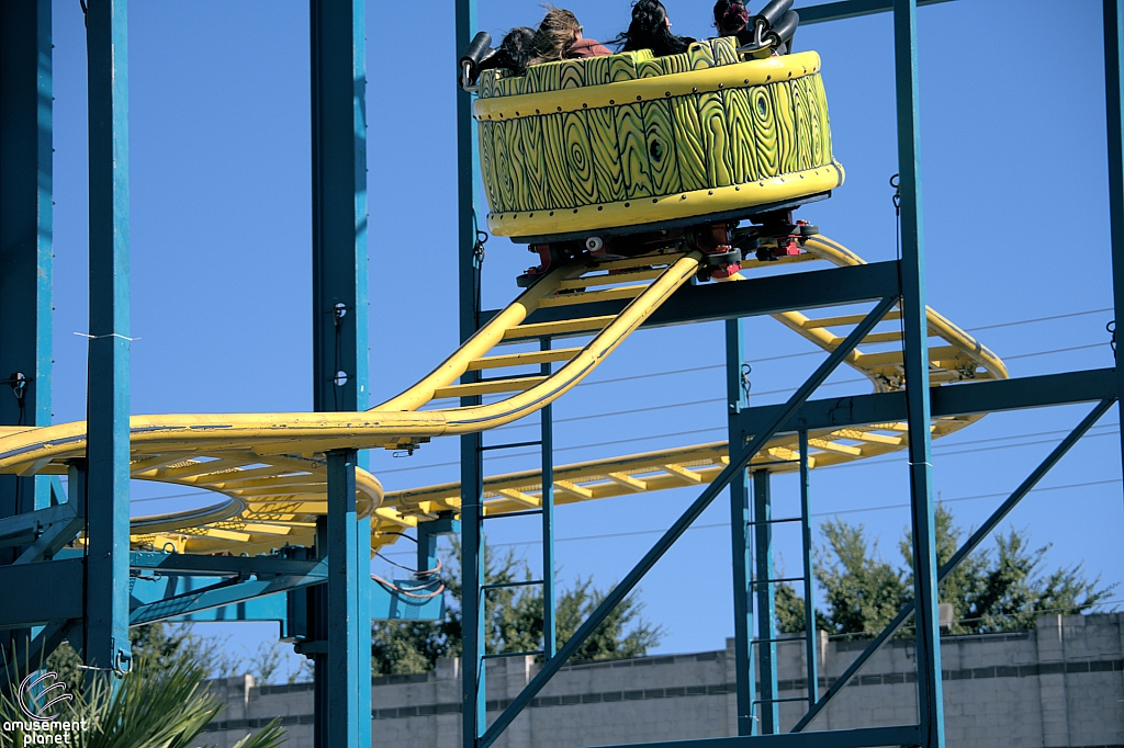 Crazy Mouse