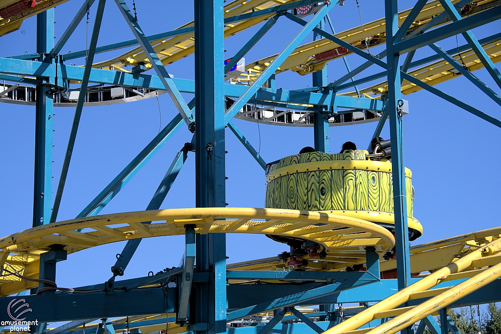Crazy Mouse