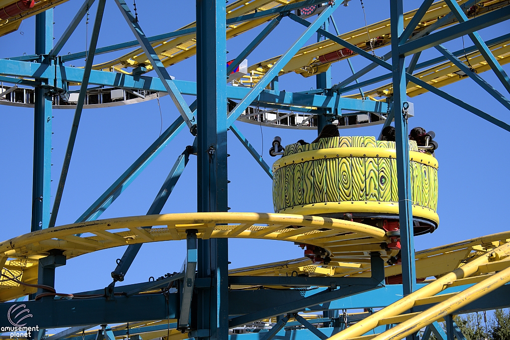Crazy Mouse
