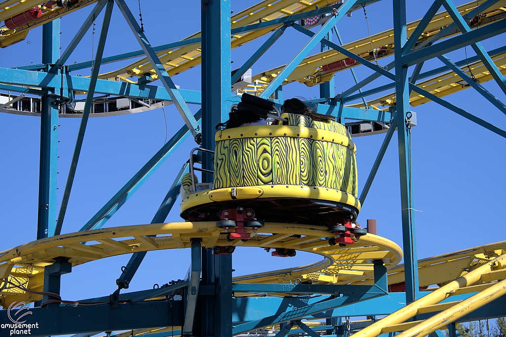 Crazy Mouse