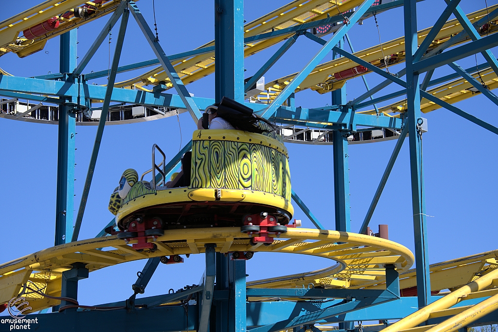 Crazy Mouse