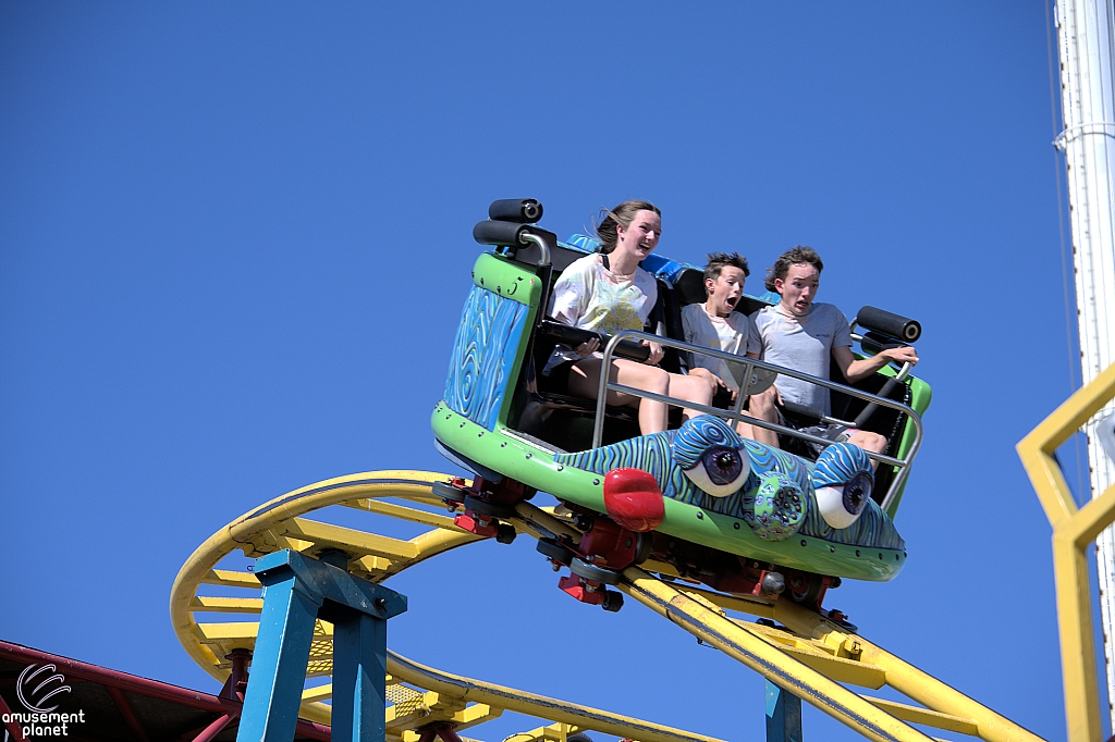 Crazy Mouse