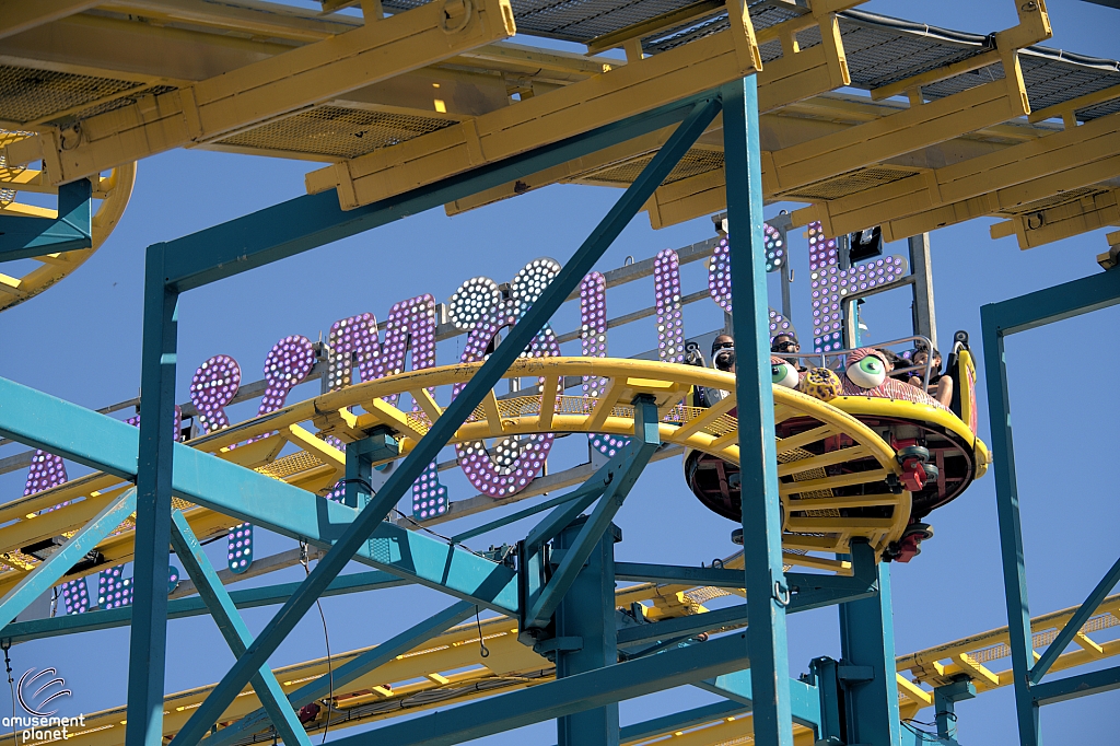 Crazy Mouse
