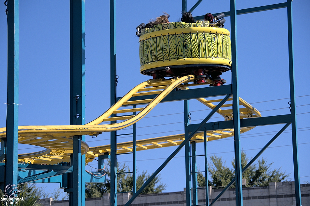 Crazy Mouse