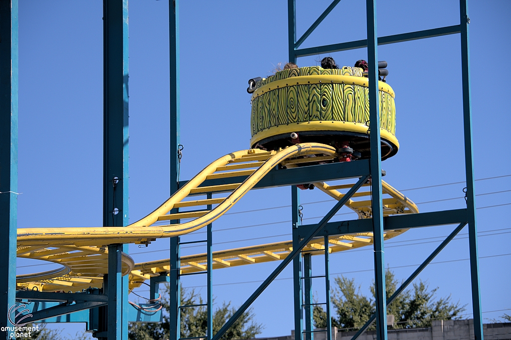 Crazy Mouse
