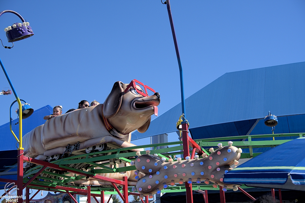 Puppy Express