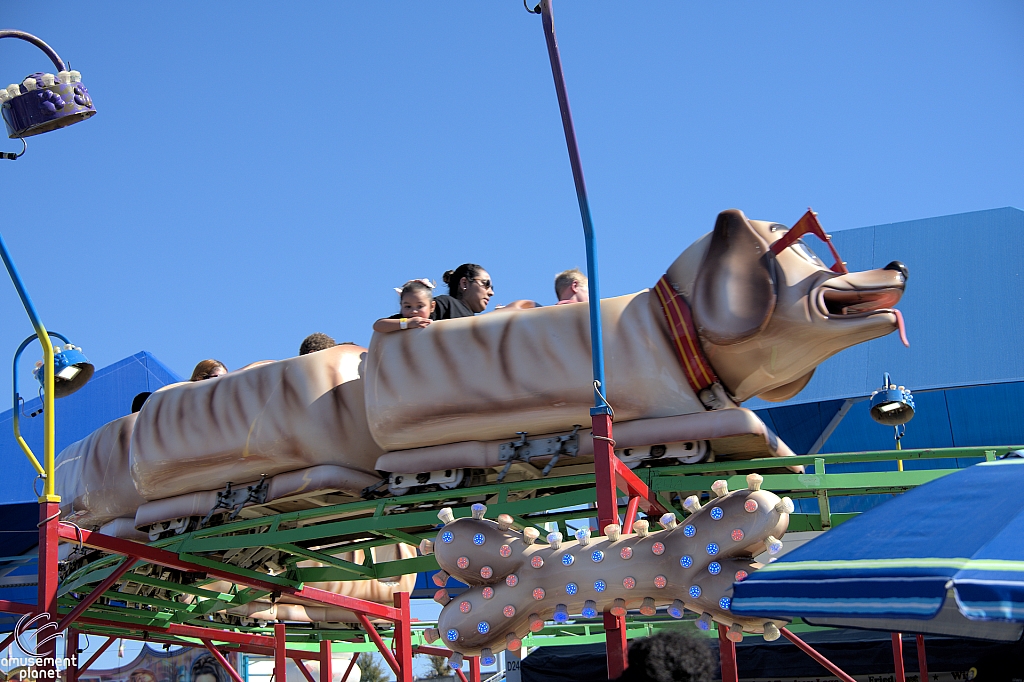 Puppy Express