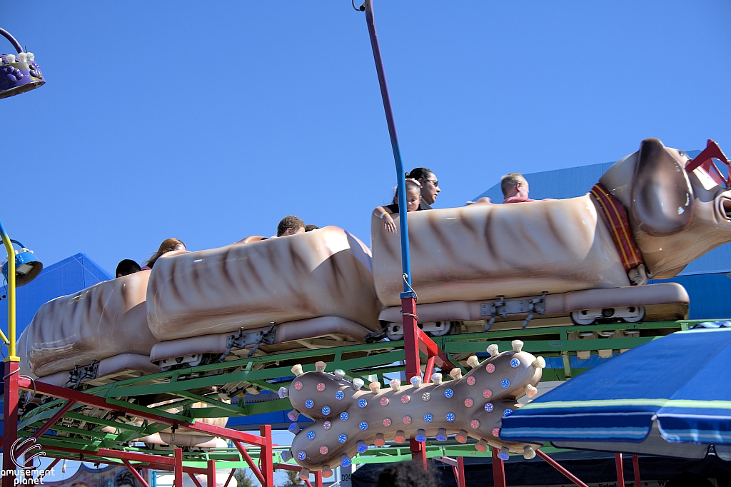Puppy Express