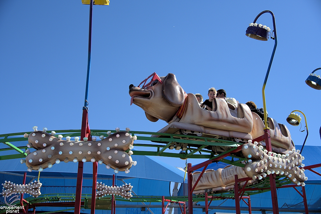 Puppy Express