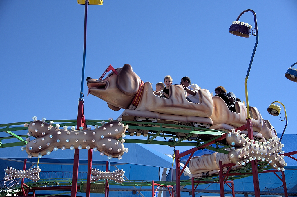Puppy Express