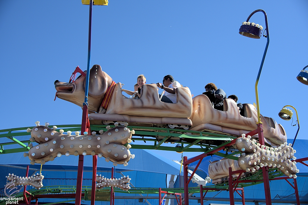 Puppy Express