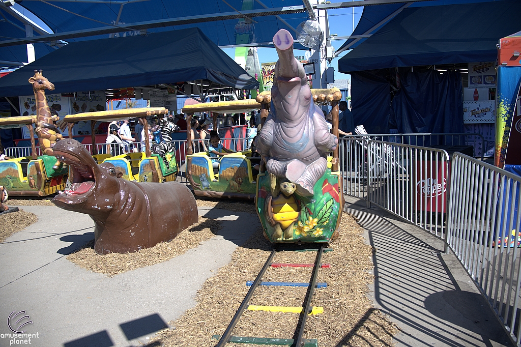 Safari Train