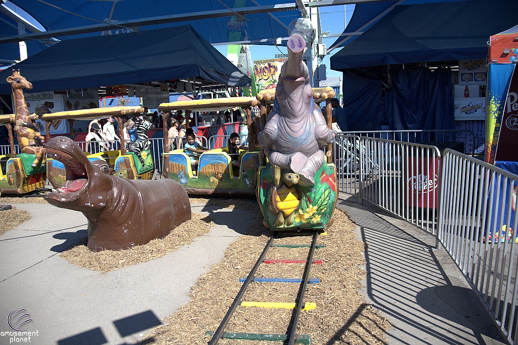 Safari Train