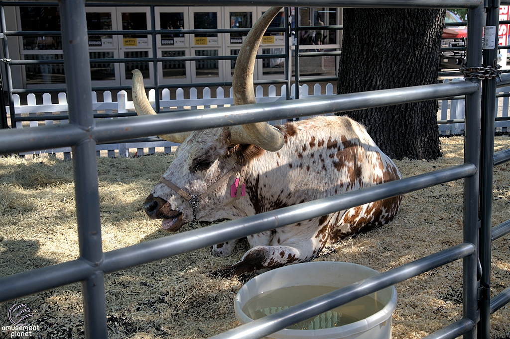 2025 State Fair of Texas