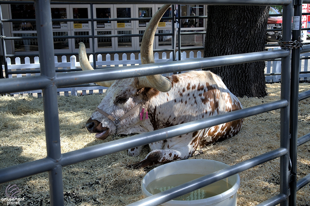 2025 State Fair of Texas