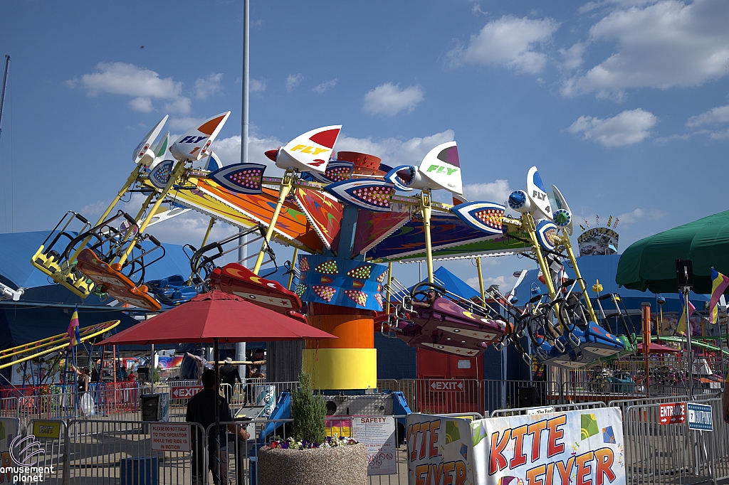 Kite Flyer