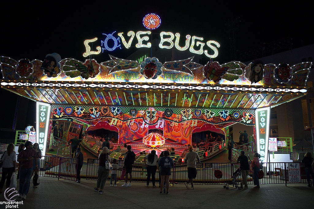 Love Bugs