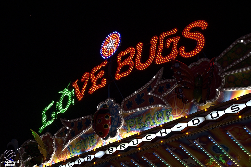 Love Bugs