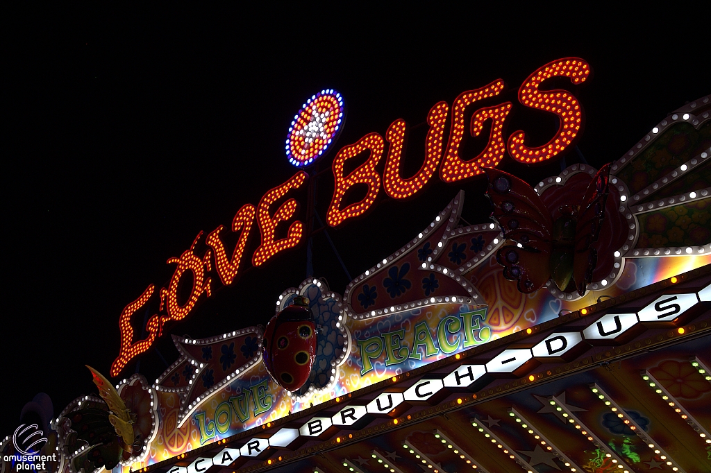Love Bugs
