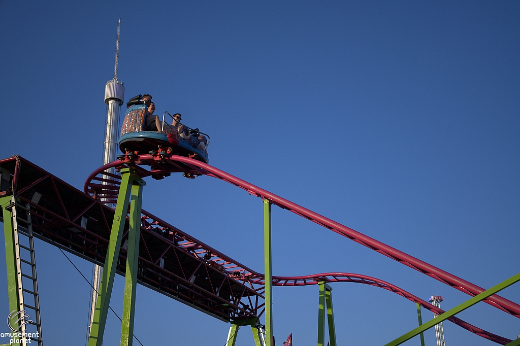 Crazy Mouse