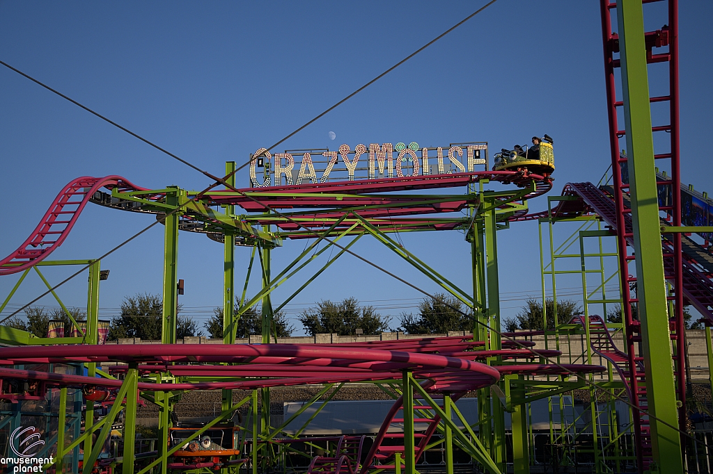 Crazy Mouse
