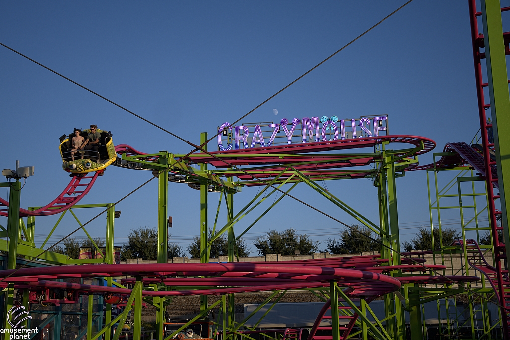 Crazy Mouse
